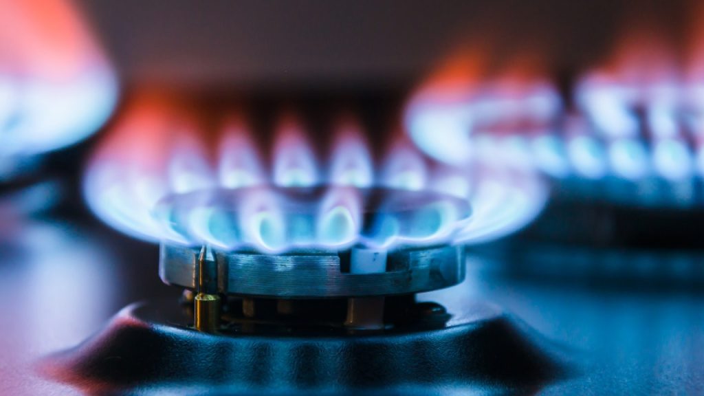 WhatsApp Image 2024-04-02 at 10.16.54_57ccc31e